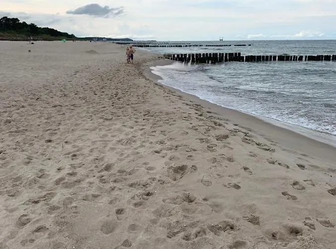 Comfort 10 Z Widokiem Na Zatoke Gdanska - Parking W Cenie Pobytu アパート グダニスク